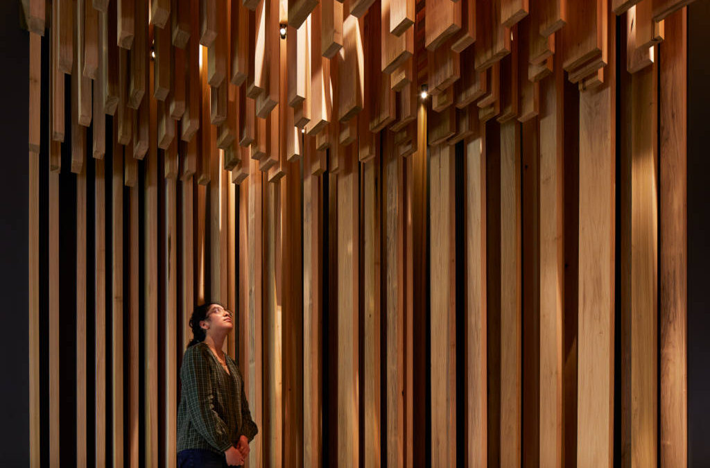 IL TULIPIER AMERICANO PER UN PADIGLIONE AL DESIGN MUSEUM PER IL DAVID ADJAYE: MAKING MEMORY