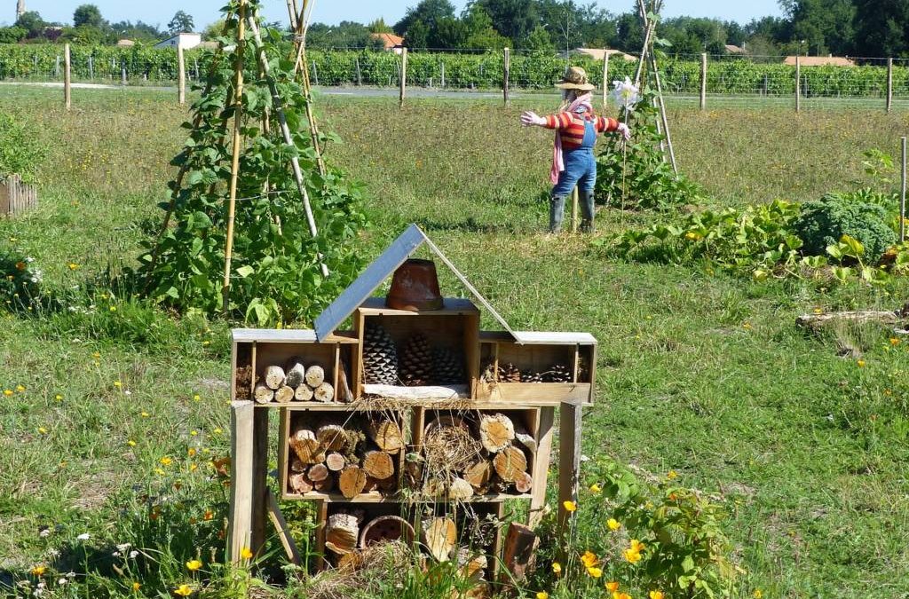 ManoMano.it e il Bosco di Ogigia: i consigli per una vita più eco-friendly
