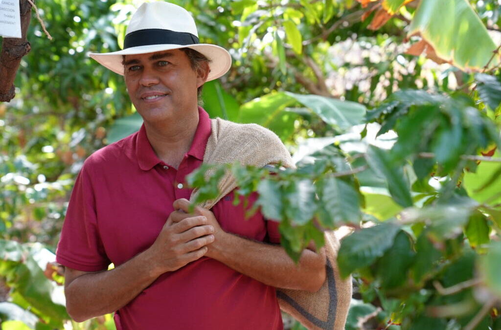 Isole Canarie, il produttore di caffè più a nord del mondo